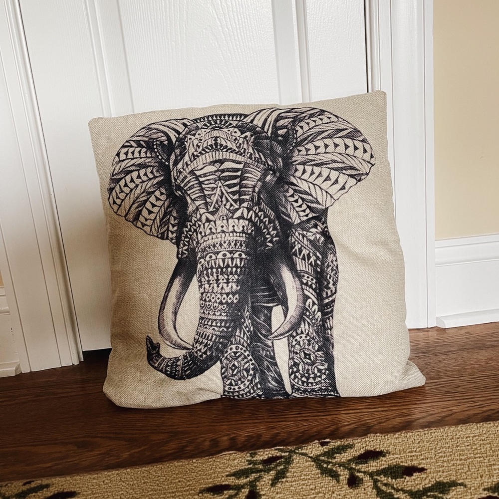 Throw Pillow